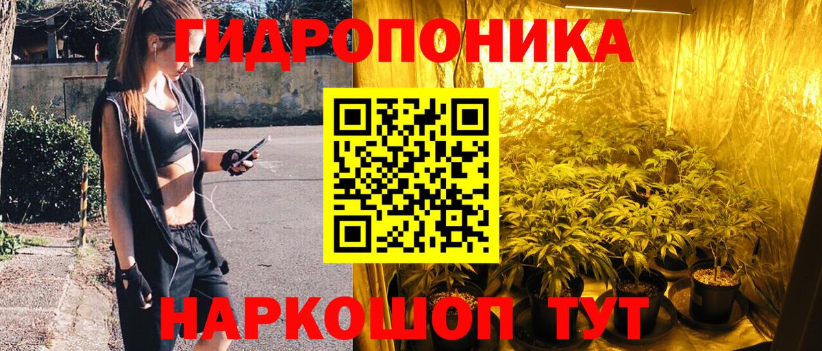Бошки марихуана конопля Анжеро-Судженск